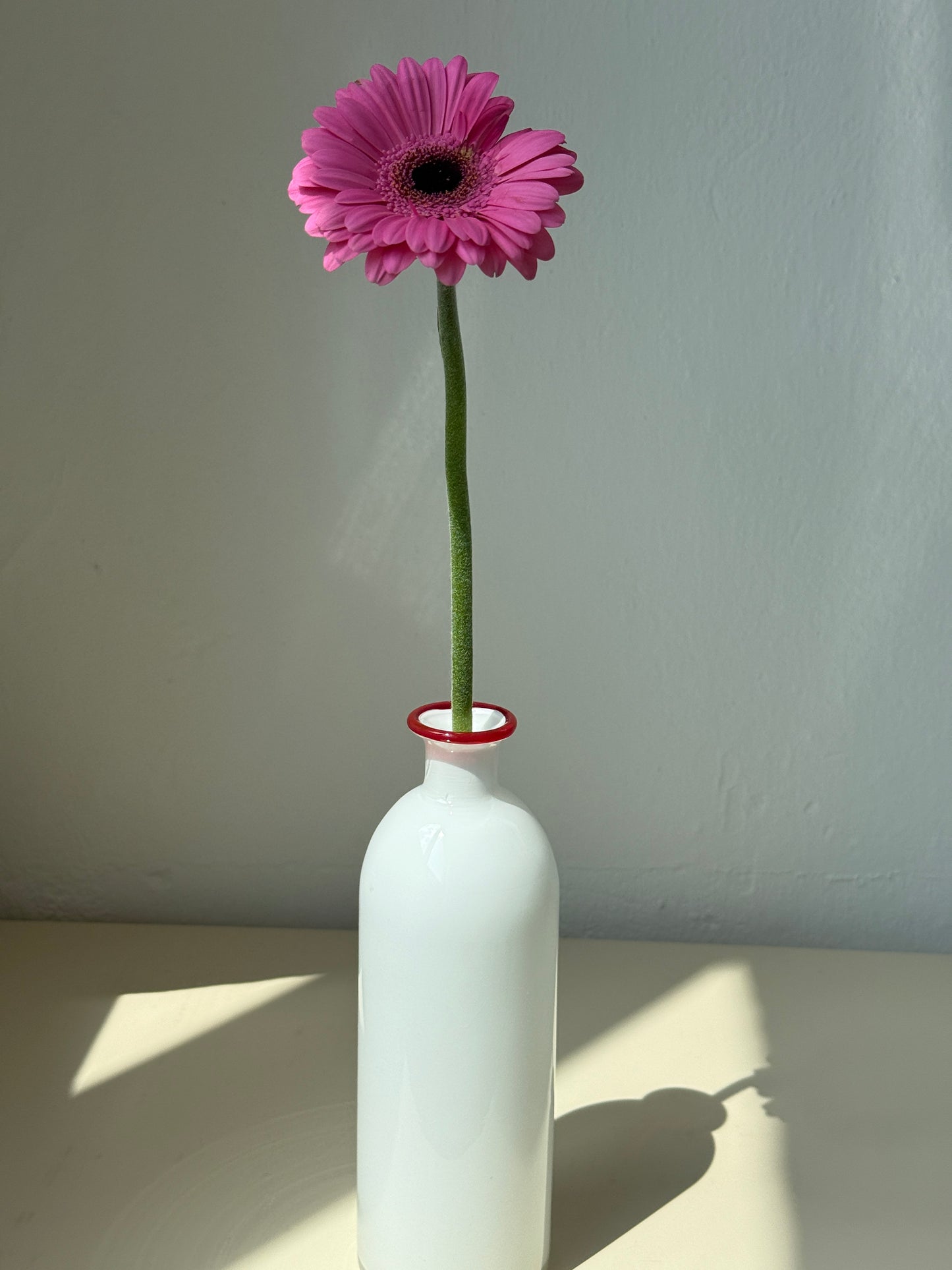 Hvid flaske vase i glas med rød kant