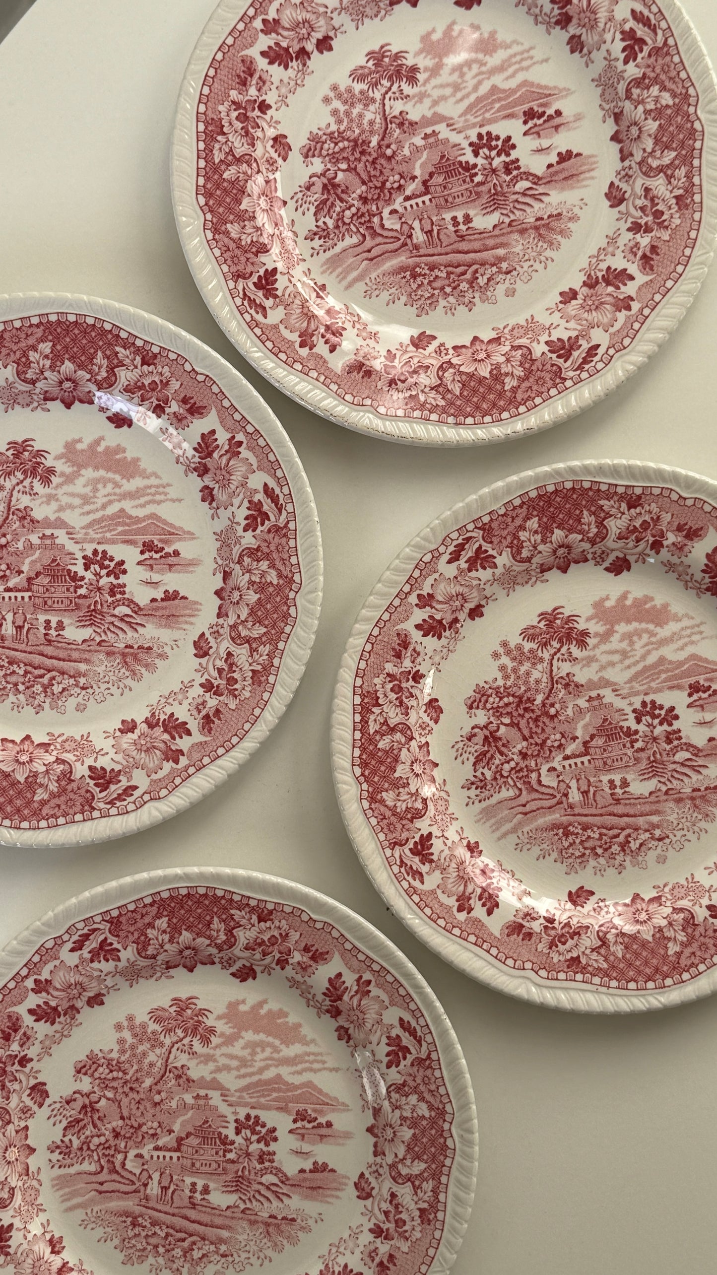 Engelsk, lyserødt stel