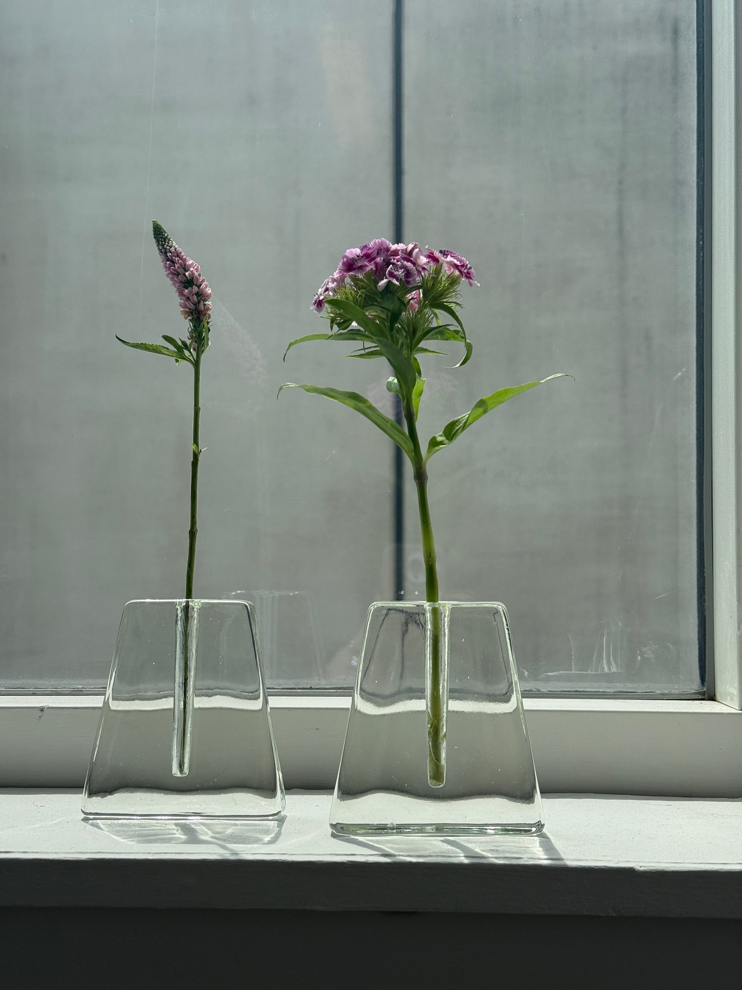 Solifleur vaser i klart glas