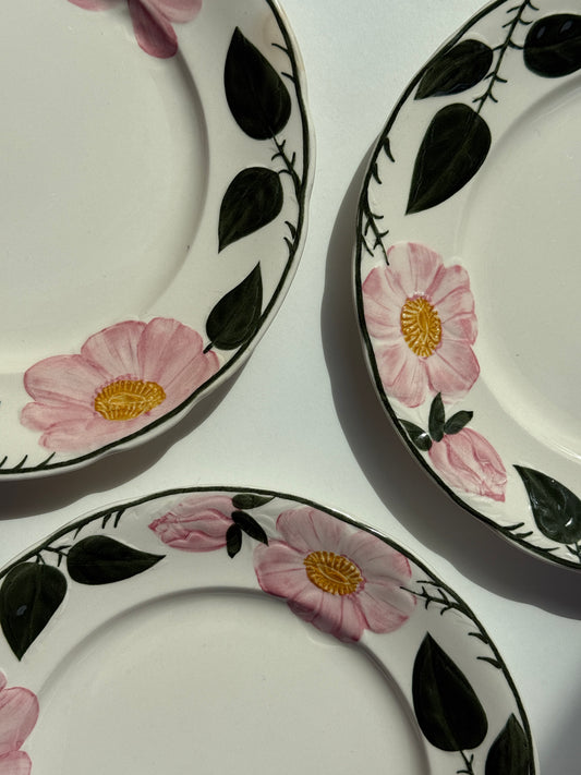 Villeroy & Boch “Wild Rose” tallerkner