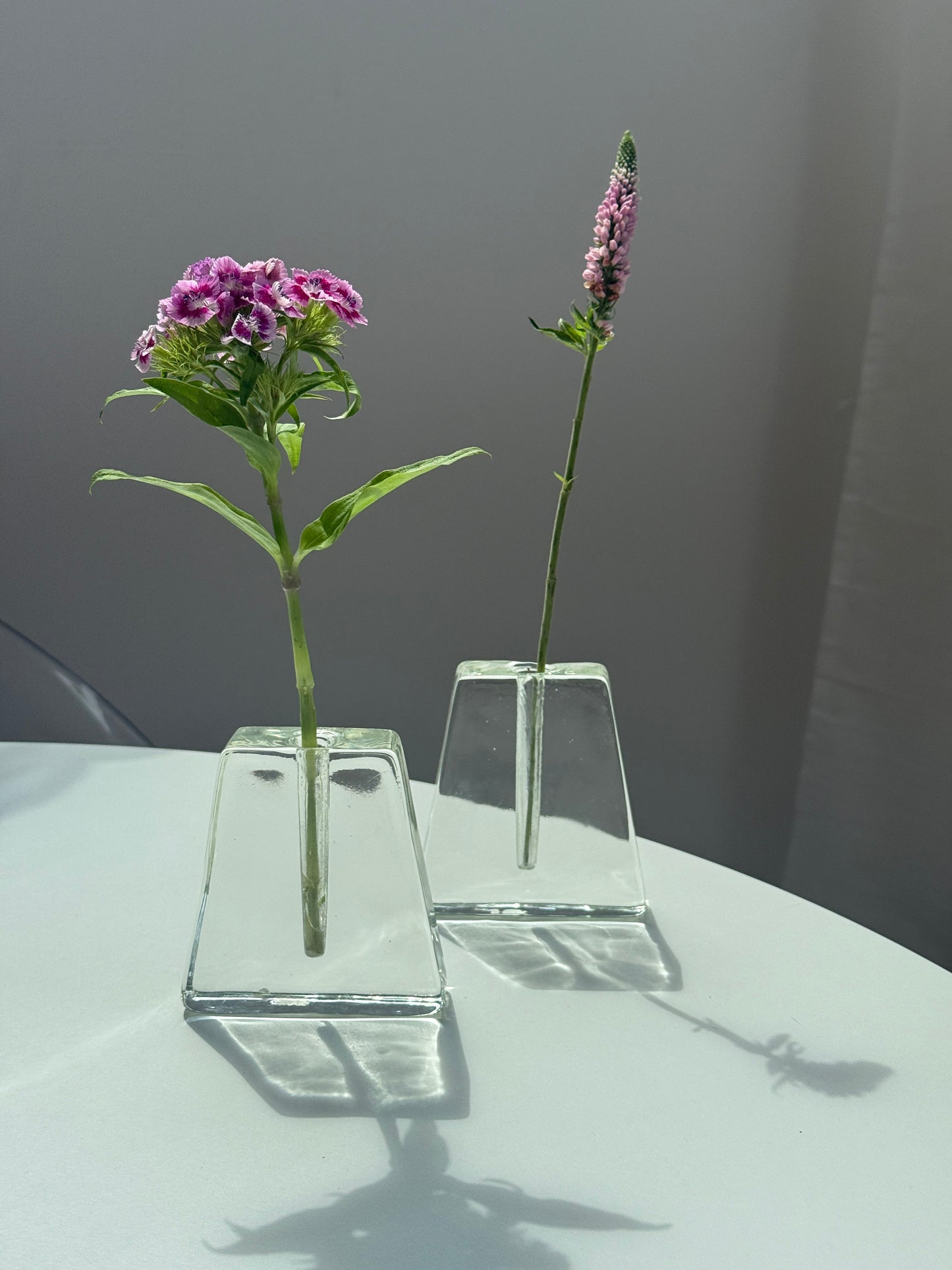 Solifleur vaser i klart glas