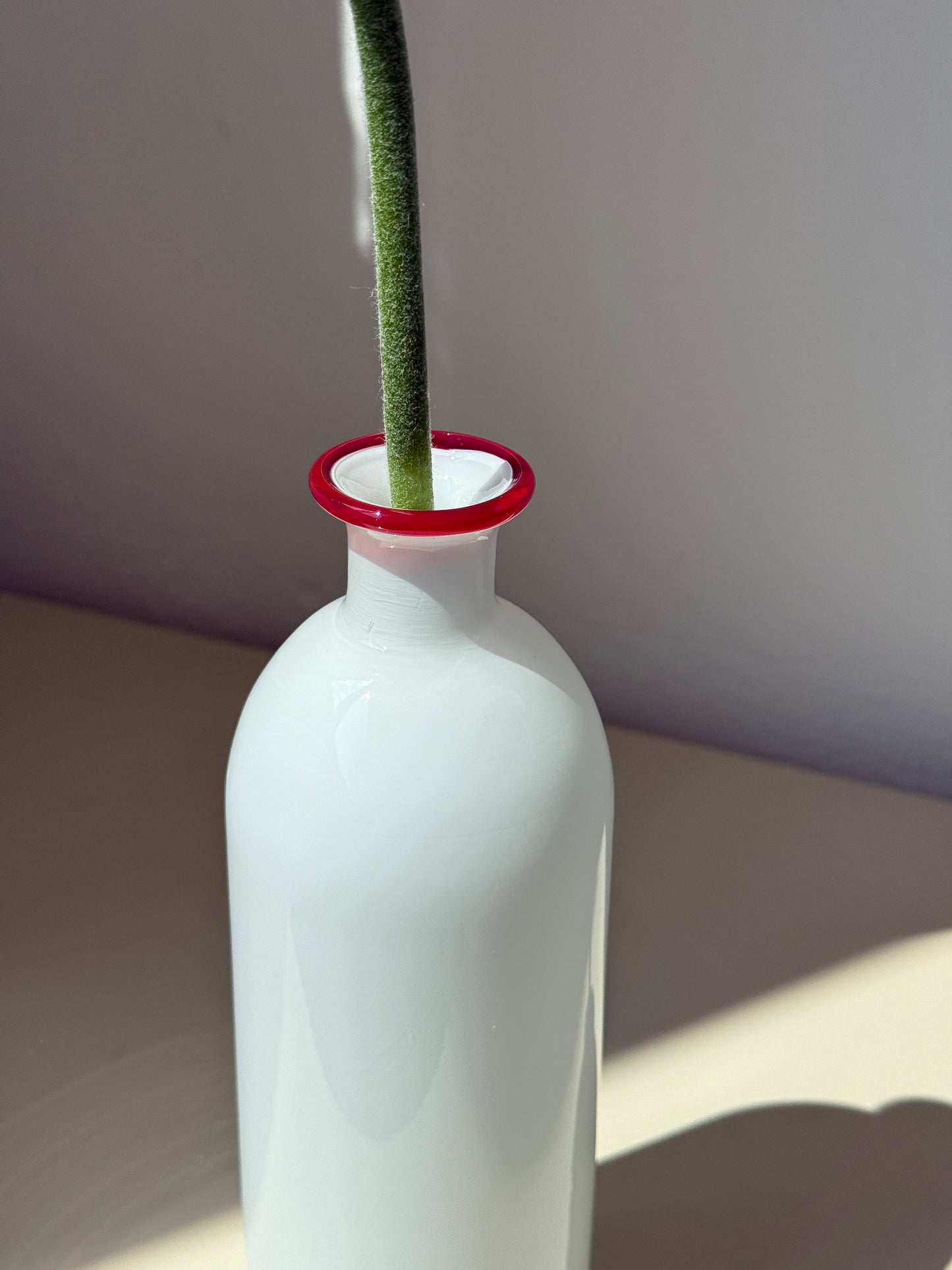 Hvid flaske vase i glas med rød kant