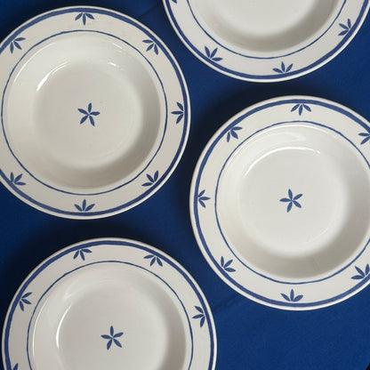 Italiensk La Primula stel, 8 dele