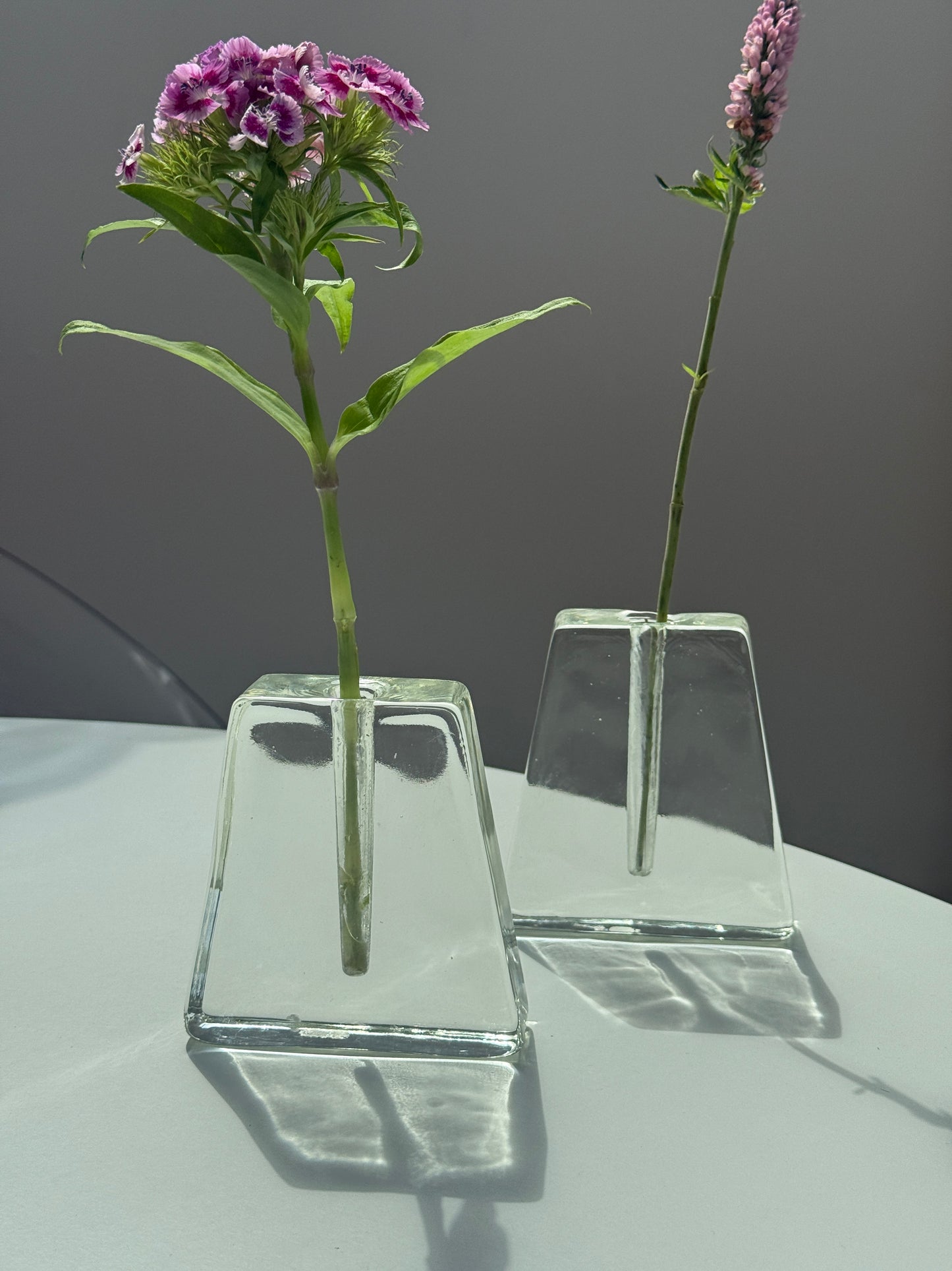 Solifleur vaser i klart glas