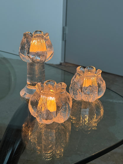 Tulipan fyrfadsstager, Kosta Boda