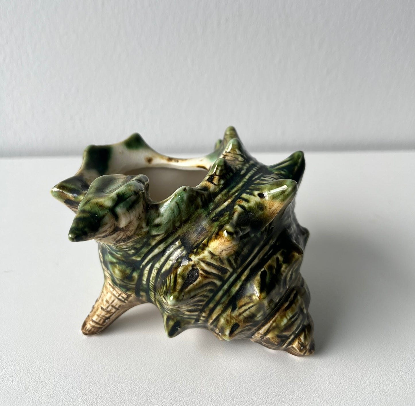 Konkylie majolica keramik