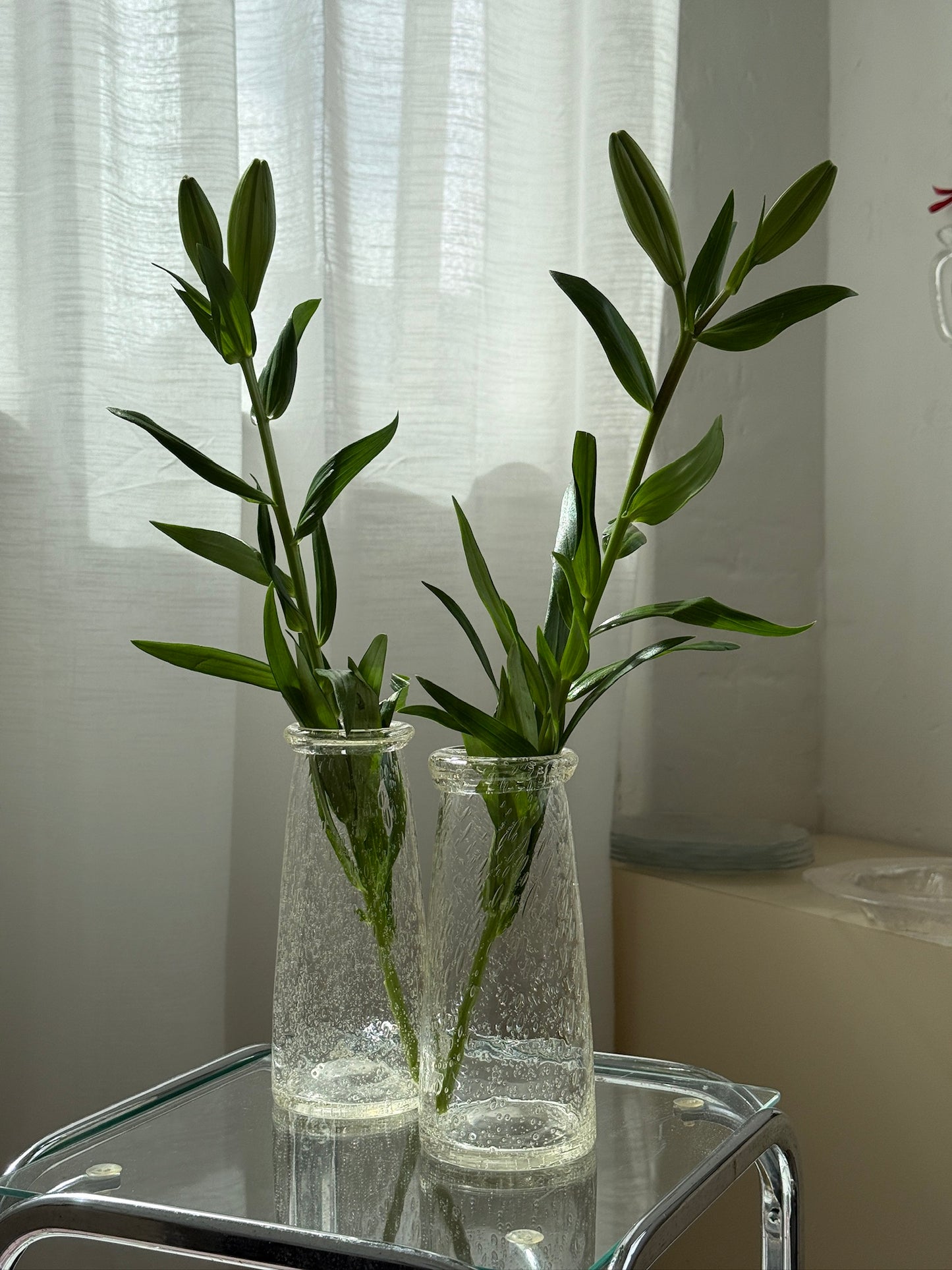 Mundblæste bobleglasvaser