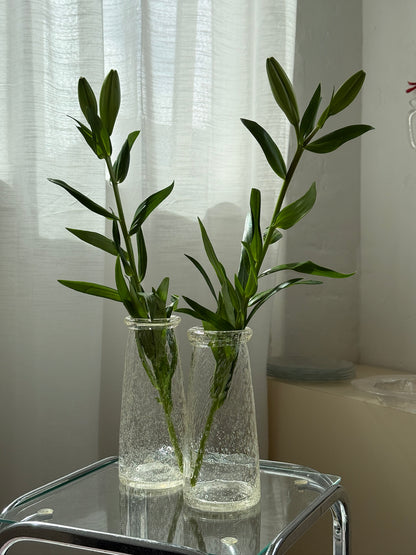 Mundblæste bobleglasvaser