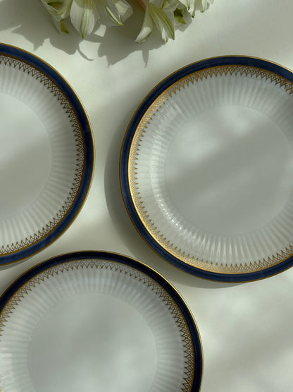 Desserttallerkner med blå kant, 4 stk