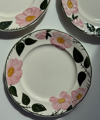 Villeroy & Boch “Wild Rose” tallerkner