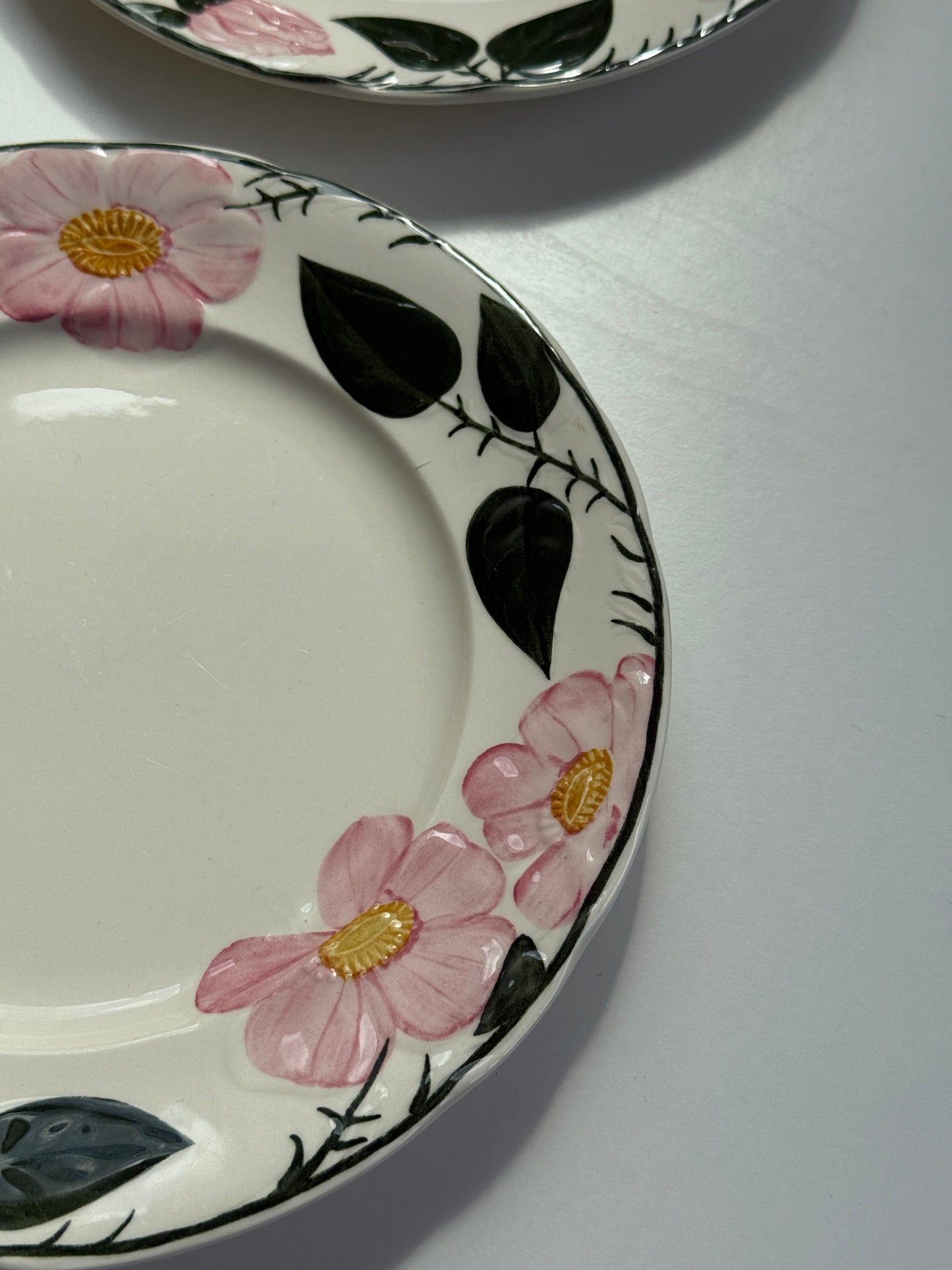 Villeroy & Boch “Wild Rose” tallerkner