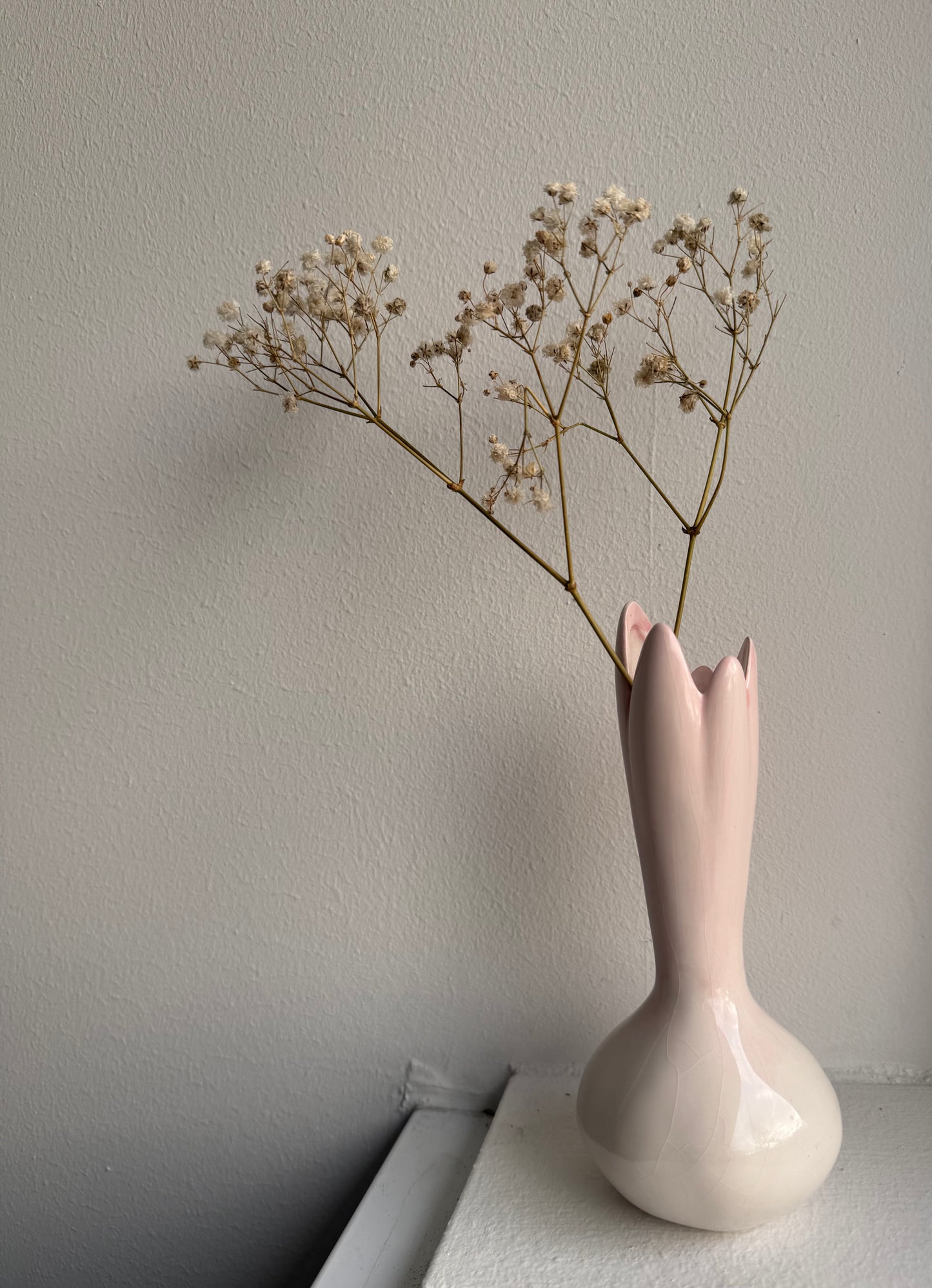 Vase – tulipanløg