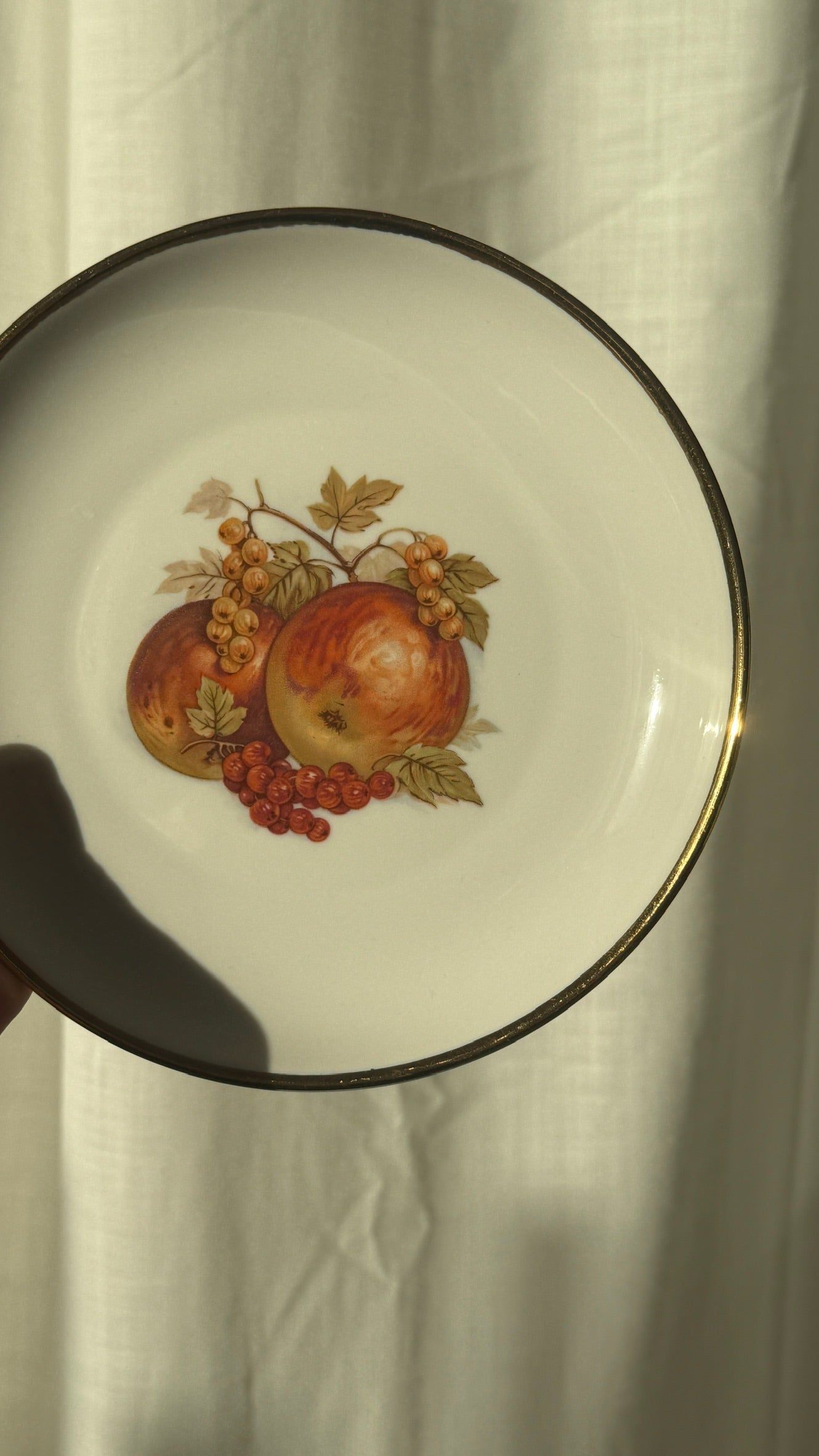 Desserttallerkner med frugtmotiv, Lyngby Porcelæn (5 stk)