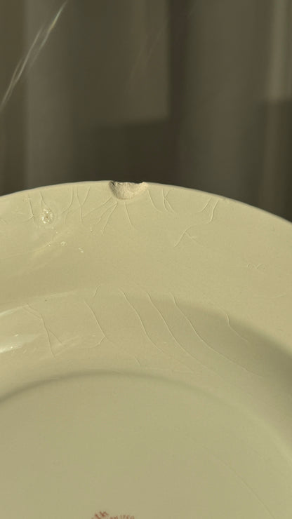 Engelsk, lyserødt stel