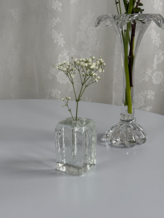 Masiv glassolifleur / vase